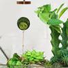 Jumping Spider Terrarium Decor - Climbing Decoration Toy - Jumping Spider Habitat view 2
