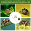 Jumping Spider Terrarium Decor - Climbing Decoration Toy - Jumping Spider Habitat view 4