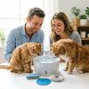 Cat Water Fountain Replacement Filters with Activated Carbon, Cotton Filter Sheets and Sponges, 10.5 x 10.5 cm, 2-Pack view 4
