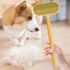 Dog Hair Remover | Portable Reusable Cleaning Brush with Long Handle view 2