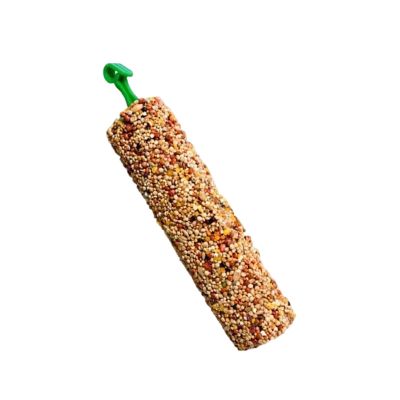 Parakeet Treat Sticks and Chew Snacks