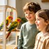 Parakeet Treat Sticks and Chew Snacks view 2