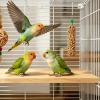 Parakeet Treat Sticks and Chew Snacks view 3