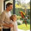 Bird Treat Sticks | Grain Treats for Budgies, Lovebirds, Macaws and Ring-Necked Parakeets view 2