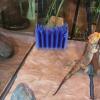 LALAFINA Plant-Shaped Reptile Terrarium Humidifier view 4