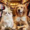 Dog Visor with Pearl Collar view 4