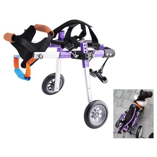 Adjustable Dog Wheelchair, Veterinarian-Approved Support for Hind-Leg Injuries