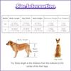 Adjustable Dog Wheelchair, Veterinarian-Approved Support for Hind-Leg Injuries view 2