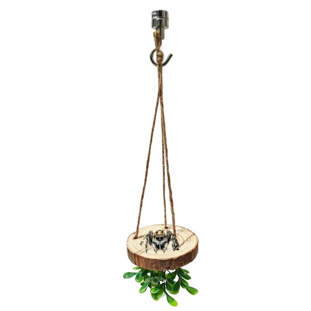 TIrievza Spring Spider Accessories