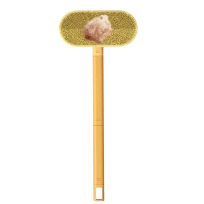 Lainiaoly Pet Hair Remover