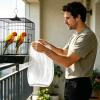 Generic Birdcage Net, Splash-Resistant Dustproof Breathable Mesh Cover and Catching Net for Parakeets, Macaws and African Birds view 2