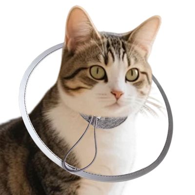 Cat Recovery Collar for Kittens and Puppies