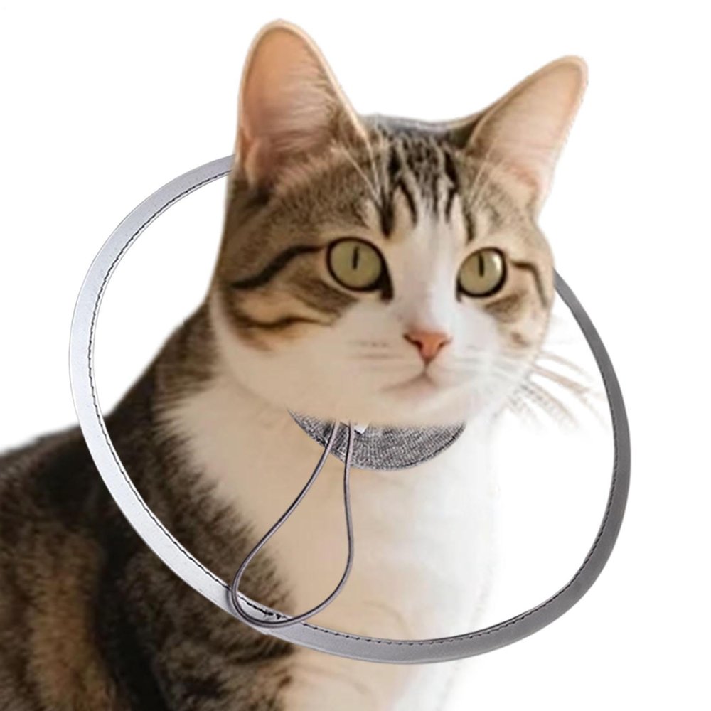 Cat Recovery Collar for Kittens and Puppies