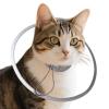 Cat Recovery Collar for Kittens and Puppies view 1