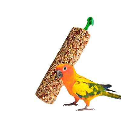 Ornamental Bird Treat Sticks with Grains