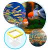 Multifunctional Acrylic Fish Breeding Box view 4