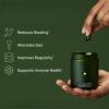 Probiotic Plant-Based Capsules, Prebiotic and Probiotic Care, Vegan and Shelf-Stable view 2