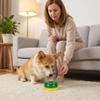 HEMOTON Training Bell for Puppies and Dogs view 4