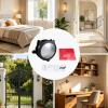 Cat Flap, 31.0 x 25.9 cm, with Adjustable Locking Modes view 3