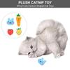 PRETYZOOM Plush Catnip Toys, Fruit Shapes, 4 Pieces view 3