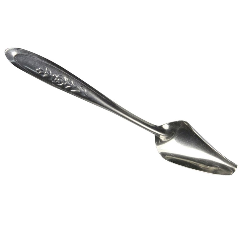 SOLUSTRE 4-Pack Stainless Steel Parrot Feeding Spoons