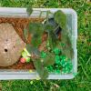 PartyKindom Artificial Green Plants for Reptile Terrariums view 4