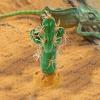 Realistic Reptile Plant Decor Made of Resin and Plastic view 4