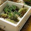 OHPHCALL Artificial Reptile Plants with Suction Cups for Terrariums view 3