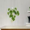 OHPHCALL Artificial Reptile Plants with Suction Cups for Terrariums view 4