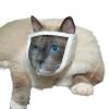 Cat Muzzle for Grooming and Care view 1