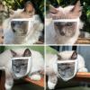 Cat Muzzle for Grooming and Care view 4
