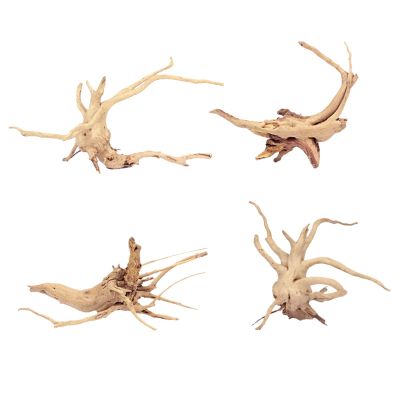 BATHVEVE Aquarium Decoration Set with Moss Anchor - 4 Pieces