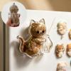 Talleros Cat Memorial Transparent Whisker Holder with Magnet view 3