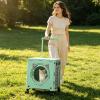 PETCUTE Large Cat Carrier with Wheels, Foldable Breathable Rolling Carrier for Large Cats and Dogs, Mint Green view 2