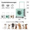 PETCUTE Large Cat Carrier with Wheels, Foldable Breathable Rolling Carrier for Large Cats and Dogs, Mint Green view 3