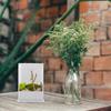 KALLORY Durable White Acrylic Feeding Box with Air Circulation for Small Praying Mantises view 4