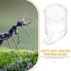 iplusmile Acrylic Ant Water Dispenser view 3