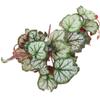 Artificial Hanging Plant for Reptile Terrariums, Green Plastic Leaf Decor view 1