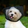 Mesh Hood for Dogs view 4