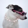 DIYEAH Adjustable Pet Collar with Beads and Heart for Cats and Dogs view 4