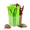 Turtle Humidifier | Moisture Plant for Reptile Terrariums view 1