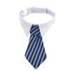 LIGHTAOTAO Adjustable Cotton Pet Tie with Self-Adhesive Closure view 1