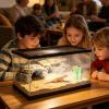 Reptile Terrarium Humidifier & Decorative Plant view 2