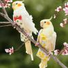HENYGEN Bird Diaper for Small Birds view 3