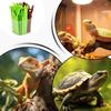 Reptile Terrarium Humidifier | Moisture Plant - Felt Snake Humidifier view 4