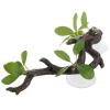 Artificial Resin Branch Decor for Aquariums and Terrariums view 1