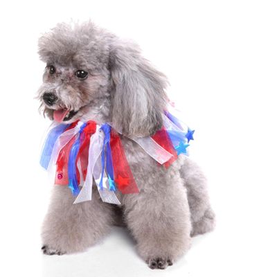 KJHBV Elastic Pet Collar for Dogs
