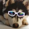 GATHINESS Dog Sunglasses with UV Protection and Foldable Design view 4