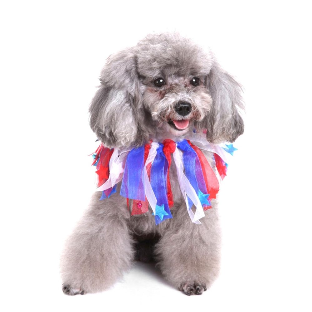 Kichvoe Halloween Pet Dog Collar