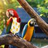 Reusable Lightweight Bird Diapers - 2 Pack view 4